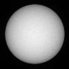 The Sun, photographed in white light. Image courtesy of Big Bear Solar Observatory/NJIT 